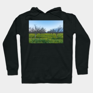 Mustard Field Hoodie